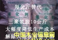 �c���鿴�ۺ���ȩ�z�����xȩ���߻����Ŵ�DƬ
