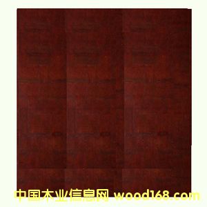 �c(di��n)���鿴������Ĥ���z��Ŵ�DƬ