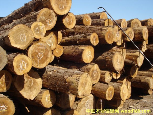 4��Ԕ��(x��)��B