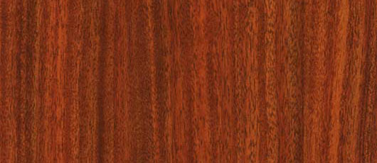 �t̴��Ԕ����B