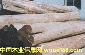�c���鿴��ľ�Ŵ�DƬ