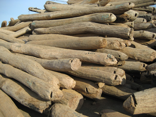 ����ľ��Ԕ����B