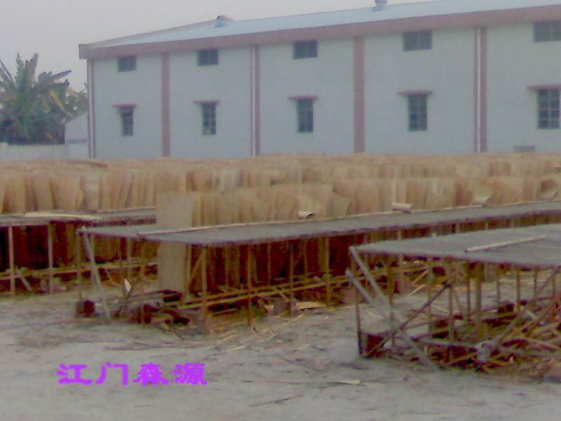 �A���а��Ԕ����B