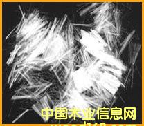 �����w�S��Ԕ����B