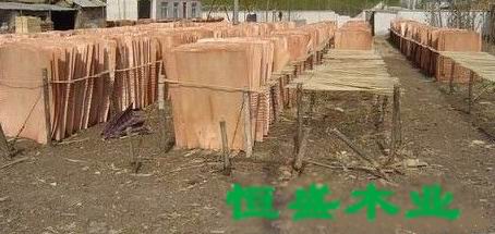 ��ľ�ΰ��Ԕ����B