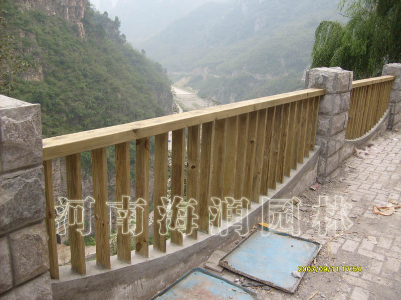 �c���鿴ľ�řڷŴ�DƬ