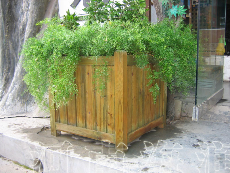 �c���鿴����Ŵ�DƬ