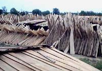 ͩľ���Ԕ����B