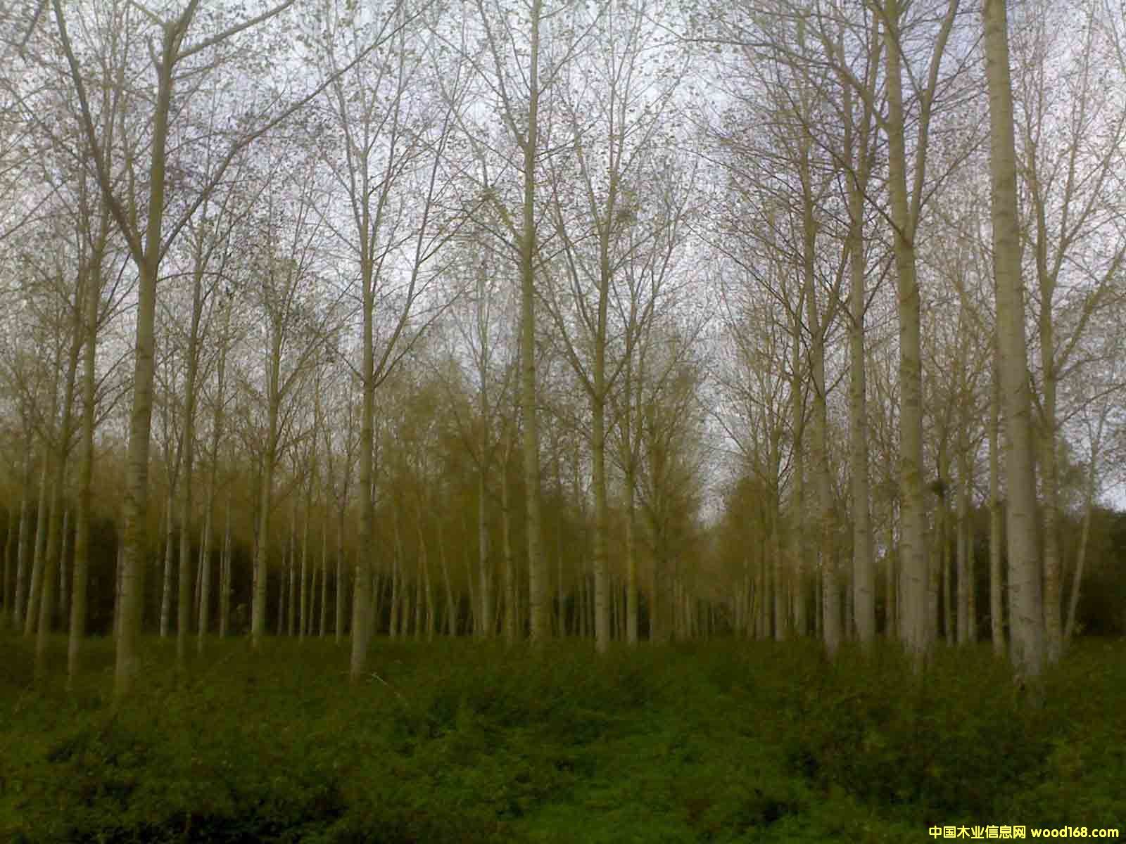 �c���鿴����С���ח�Ŵ�DƬ