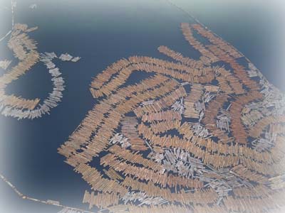 �c���鿴������Ҫ��N�Ŵ�DƬ