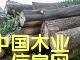 �c���鿴����ľ�Ŵ�DƬ