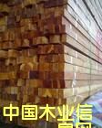 �c���鿴��ľ�Ŵ�DƬ