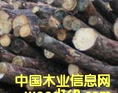 ԭľ��Ԕ����B