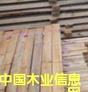 ���ĵ�Ԕ����B