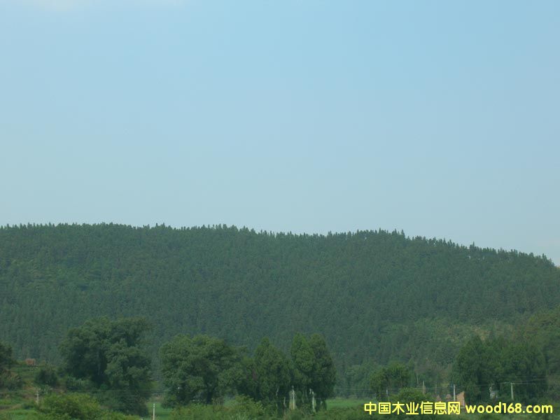�c���鿴ɼľ�Ŵ�DƬ