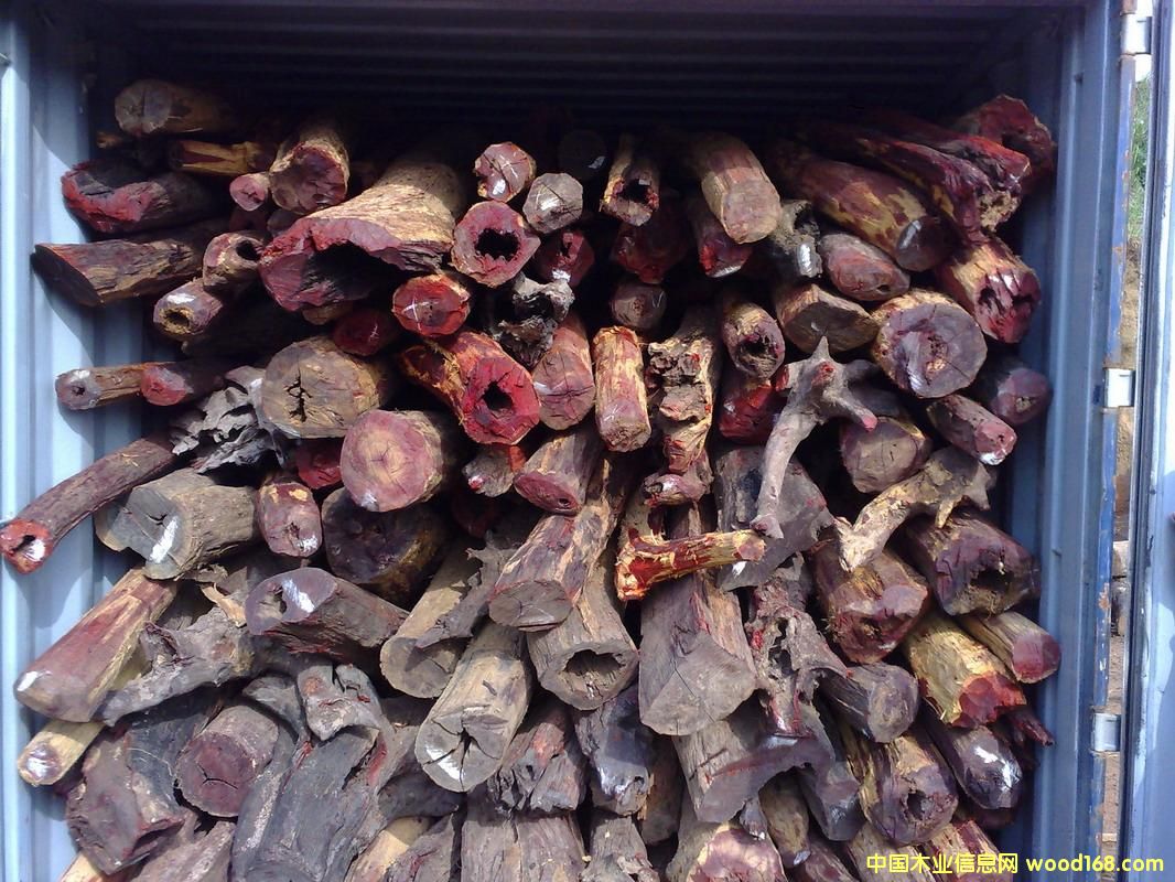 �Ჴ����̴��Ԕ����B