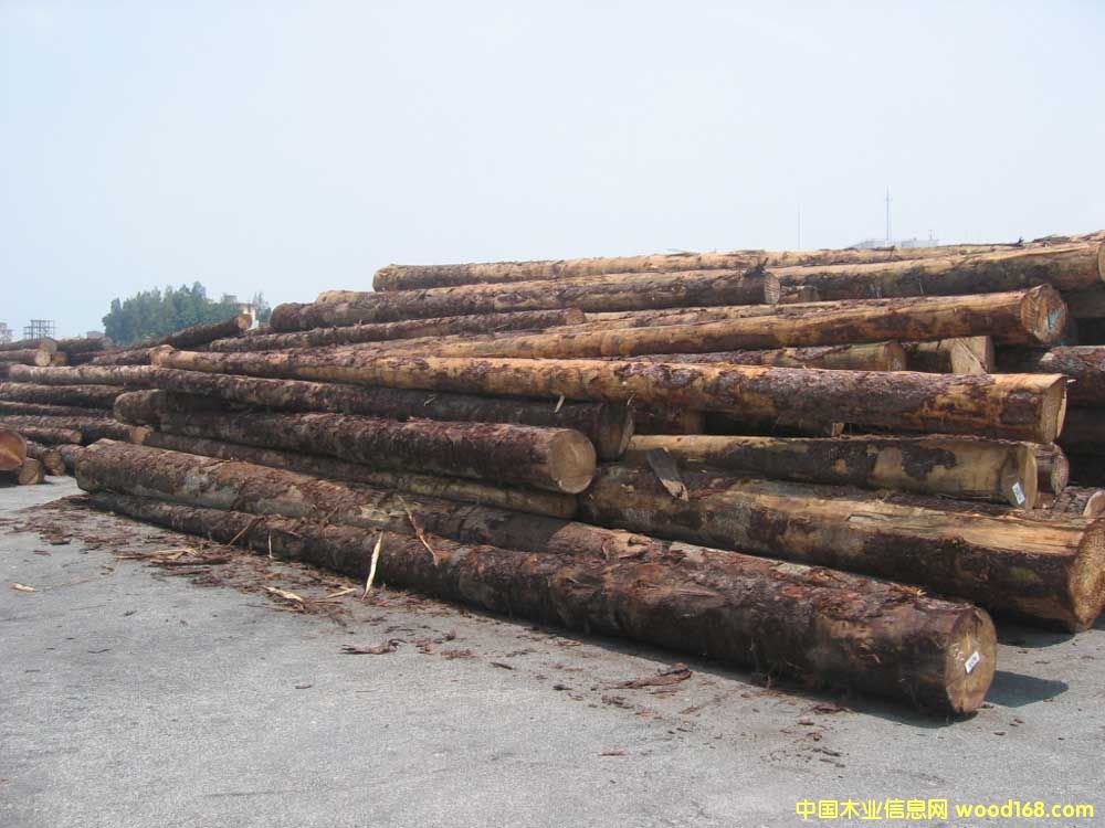 ��ɼ��Ԕ����B