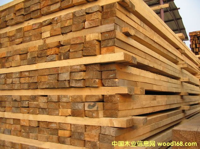 �����ɵ�Ԕ����B