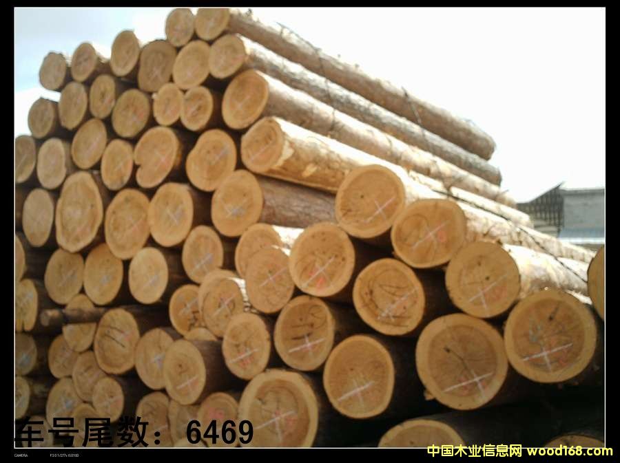 �����ɵ�Ԕ����B