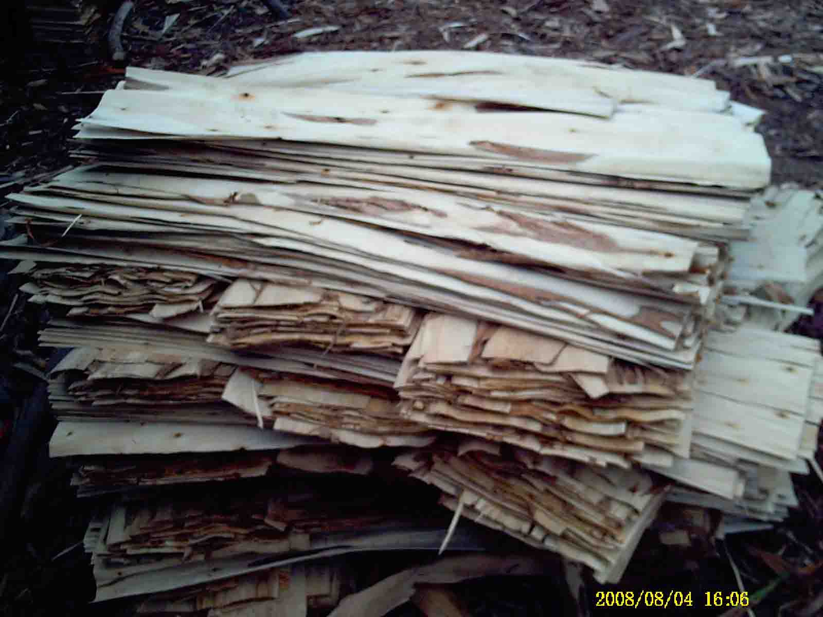 �������Ԕ����B