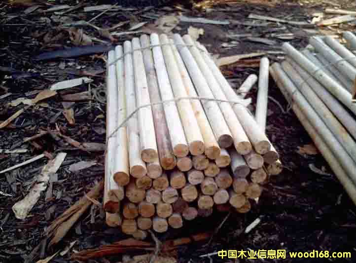 ľо��Ԕ����B