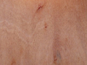 �z�ϰ��Ԕ����B