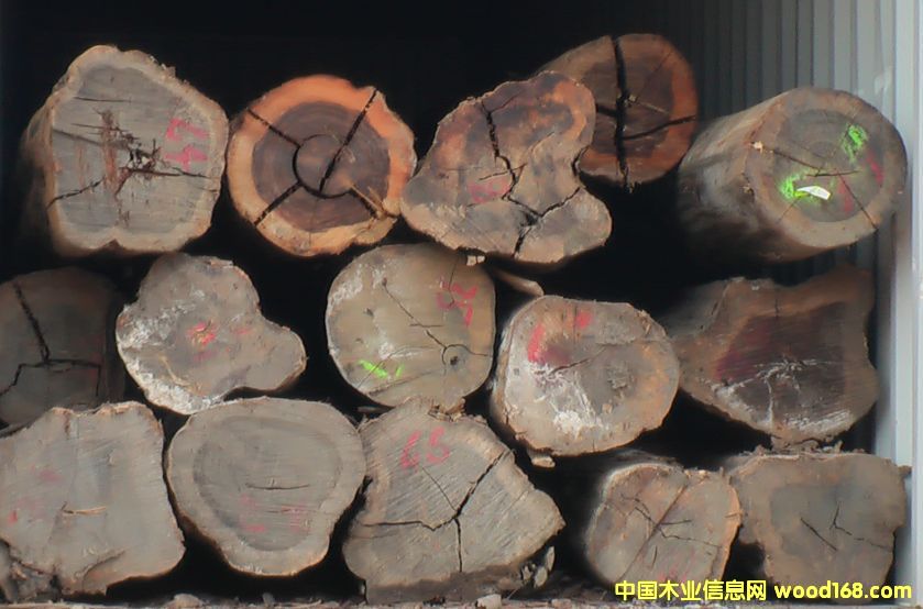 ������֦�����}���Ԕ����B