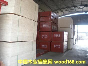 ����ģ���Ԕ����B