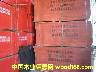 ���zģ���Ԕ����B