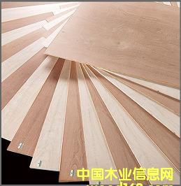 �h(hu��n)���z�ϰ壨�A�壩�ͭh(hu��n)����ľ���壨��о�壩