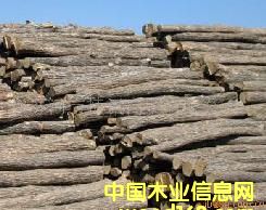 ԭľ�ψ���Ԕ����B