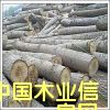 �c���鿴��ľԭľ�Ŵ�DƬ
