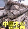 �c���鿴��ľԭľ��ķŴ�DƬ