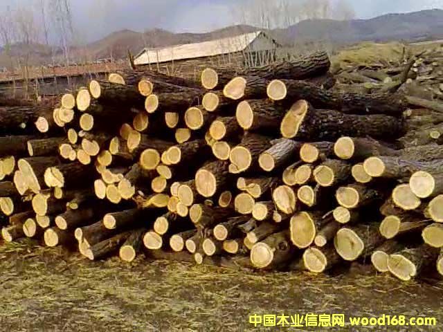 �����|����ľ��Ԕ��(x��)��B