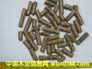 �c���鿴��ľ�ĩ�w���Ŵ�DƬ