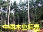 �c���鿴ɼľ�Ŵ�DƬ