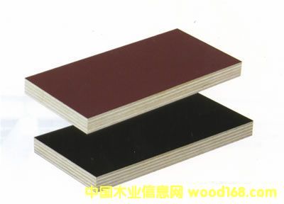 �c���鿴��ɫ��Ĥ��Ŵ�DƬ