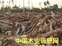 ��˼ľ�ذ����ϵ�Ԕ����B