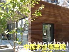 �c(di��n)���鿴�̈́�ľ�Ŵ�DƬ