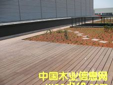 �c(di��n)���鿴ӡ����̴�Ŵ�DƬ