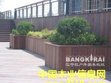 �c(di��n)���鿴�̈́�ľ�Ŵ�DƬ