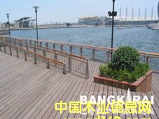 �c(di��n)���鿴ӡ����̴�Ŵ�DƬ