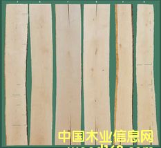 �c���鿴��ľ��ķŴ�DƬ