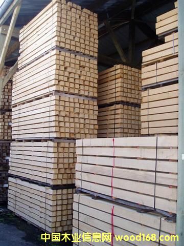 �c���鿴��ľ�ͲķŴ�DƬ