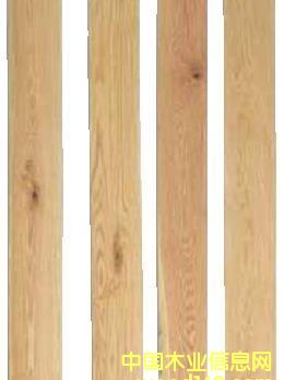 �c���鿴�����t��Ŵ�DƬ