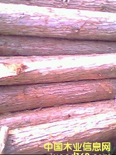 ɼԭľ��Ԕ��(x��)��B