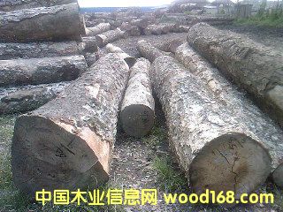 ��ľ1��Ԕ����B