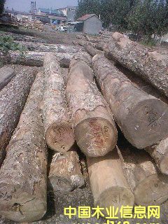 ��ľ2��Ԕ����B