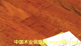 �OƷ����Ӱ��Ԕ����B