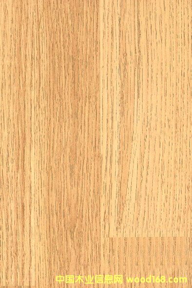 ���n����Ԕ����B